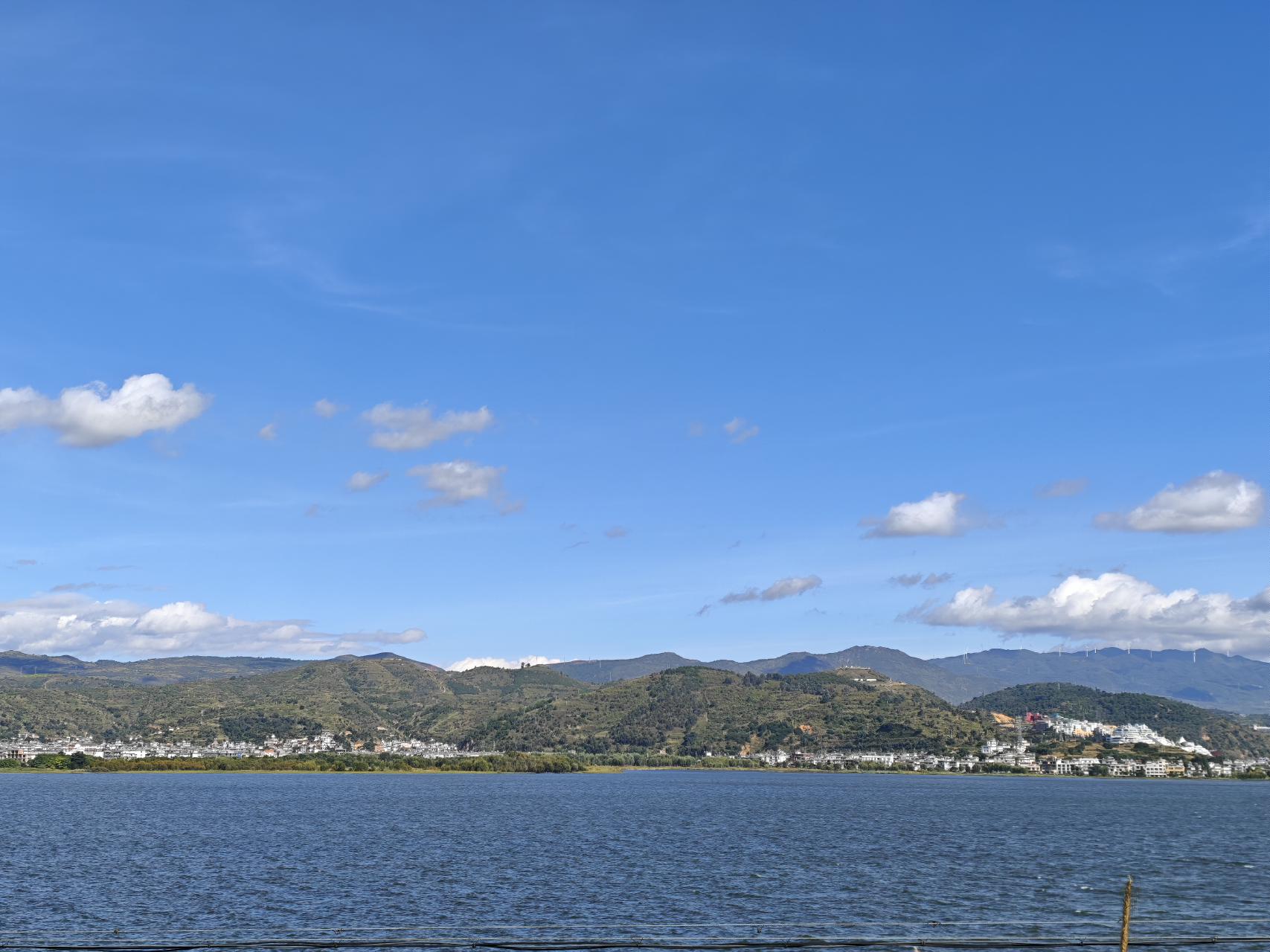 快慢指针的艺术：从链表环探测到数组去重